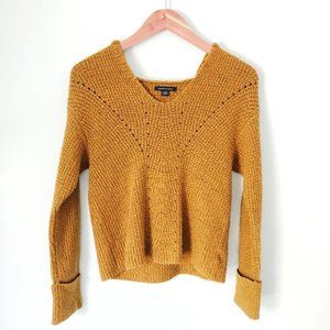 American Eagle Hooded Sweater